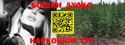 стаф Лесосибирск