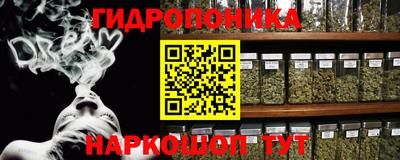 индика Ликино-Дулёво