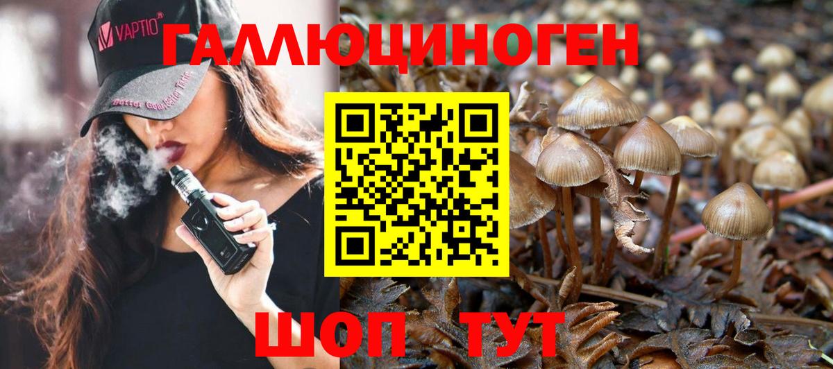 Псилоцибиновые грибы мицелий Сертолово