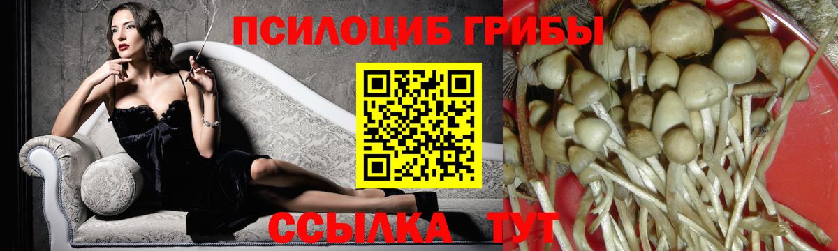 Галлюциногенные грибы Magic Shrooms  Галлюциногенные грибы GOLDEN TEACHER  Вход с VPN  Сертолово 